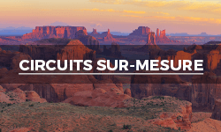 Circuits sur-mesure
