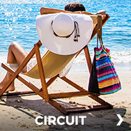 Circuit
