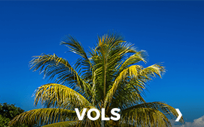Vols