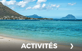 Activités