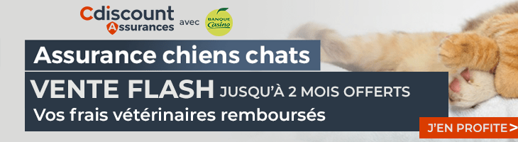 Offre promotionnelle